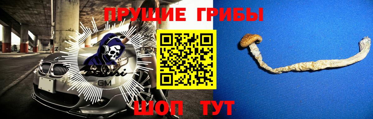 Псилоцибиновые грибы MAGIC MUSHROOMS Элиста