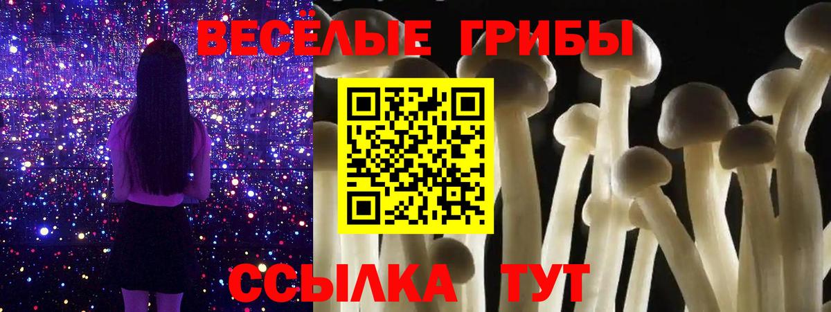 Элиста  хочу   Псилоцибиновые грибы мухоморы  Вход с VPN  Галлюциногенные грибы MAGIC MUSHROOMS 