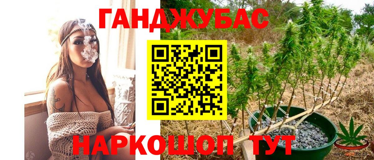 Бошки марихуана индика Элиста